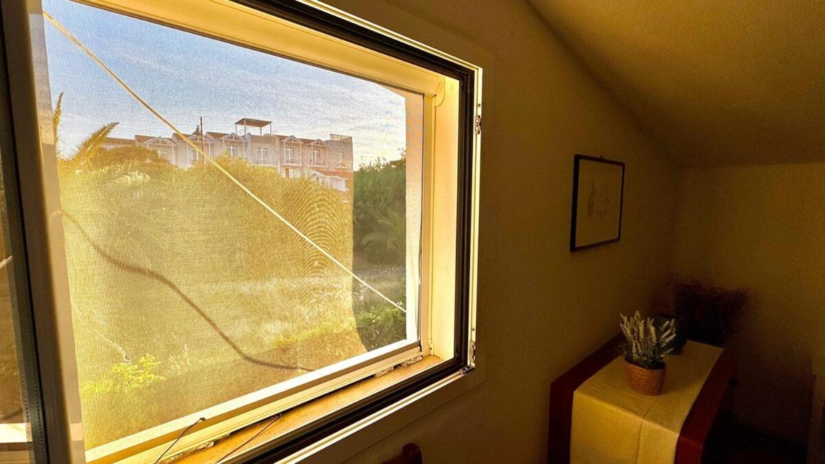 Tina's Tiny House - 10 Meters From The Olbia